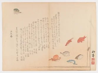 Various Fish